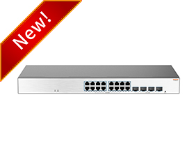Full Gigabit Cloud Management Switch